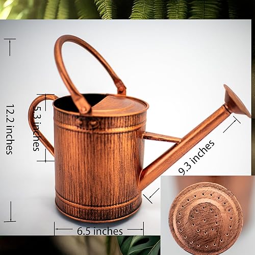 Miniatura 3 de HORTICAN Regadera decorativa de metal de 1 galón con boquilla extraíble, regadera perfecta para plantas en interiores y exteriores, regadera de cobre