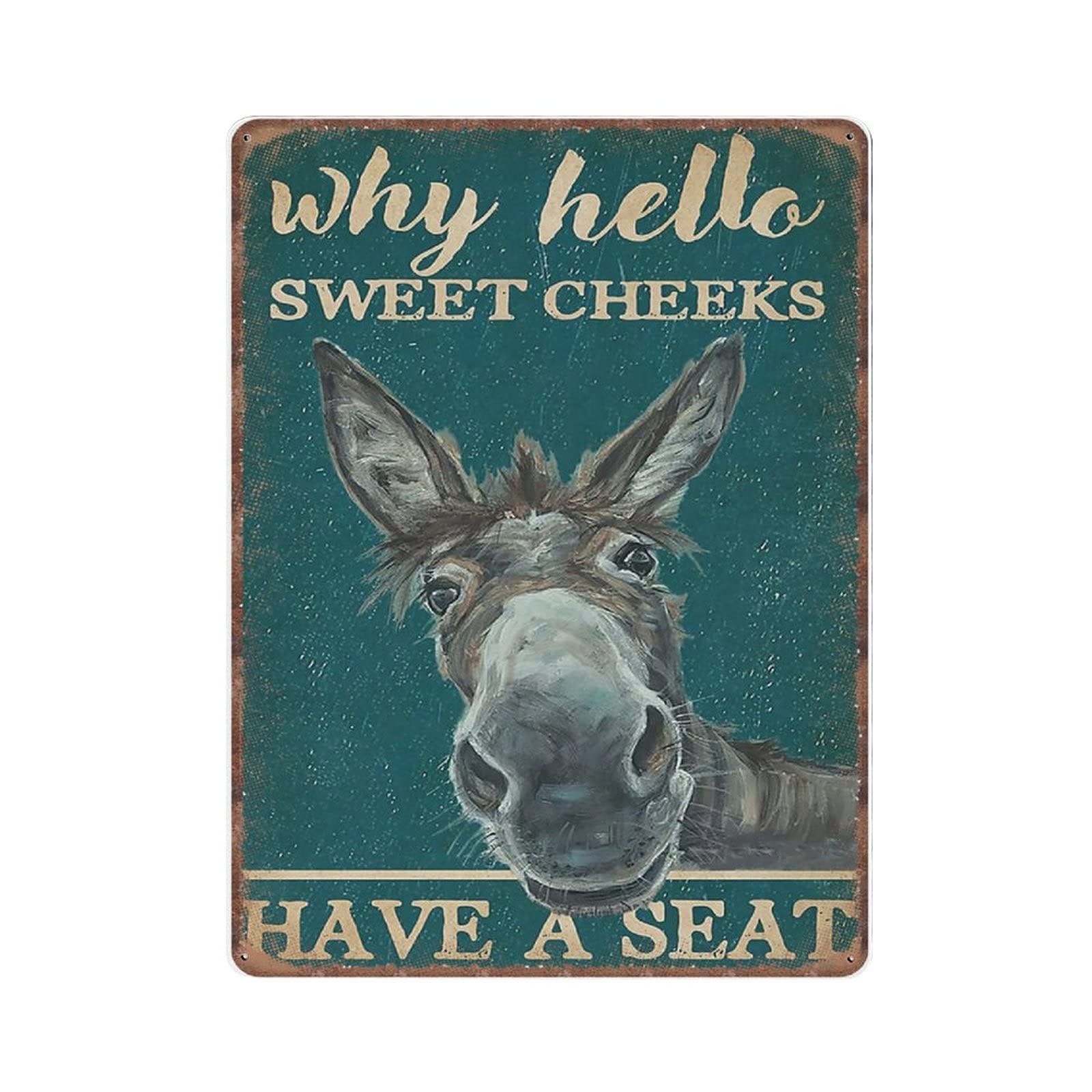 rayprint Retro Teal Why Hello Sweet Cheeks Donkey Tin Signs, Love Donkey Sign for Home, Funny Vintage Metal Sign Plaqu Poster Wall Art Kitchen Garden Bathroom Decor, 30x40 cm, Material_tin 3