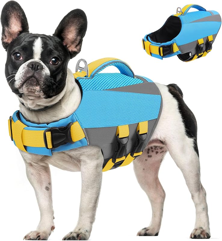 Colete Salva-Vidas para Cães Queenmore com Flutuabilidade, Alça de Resgate e Faixas Refletivas Azul XS