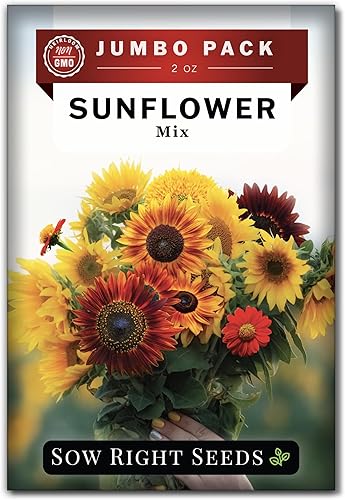 Sow Right Seeds - Semillas de girasol mixtas a granel para plantar - 2 onzas, 1700 semillas - Paquete jumbo de reliquia sin OMG con instrucciones -
