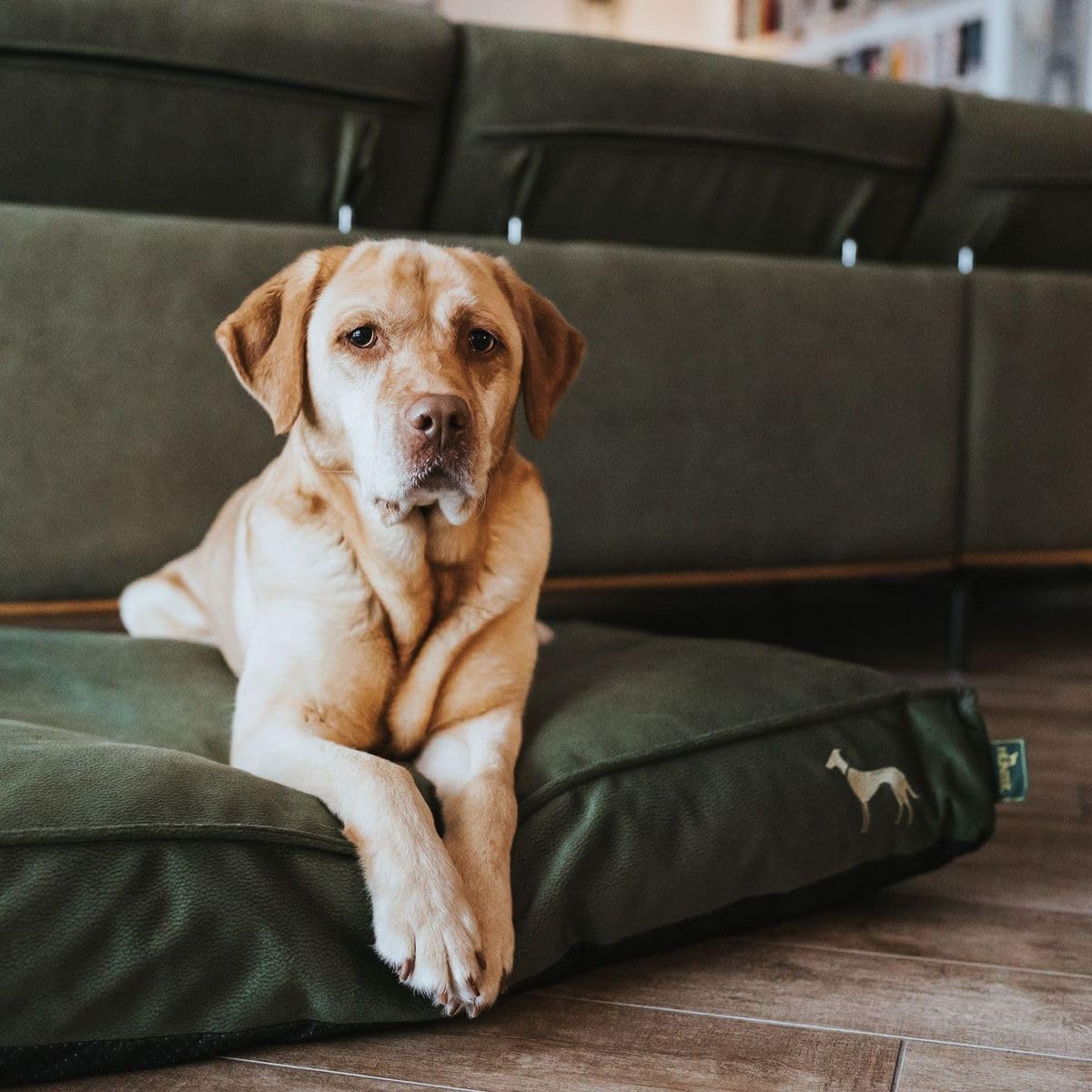 HUNTER Orthopädisches/Ergonomisches Hundekissen Merida mit Memoryschaum, Kann eine gelenk- und rückenschonende Haltung unterstützen; Rutschhemmende Unterseite, Farbe: Oliv, Größe: L