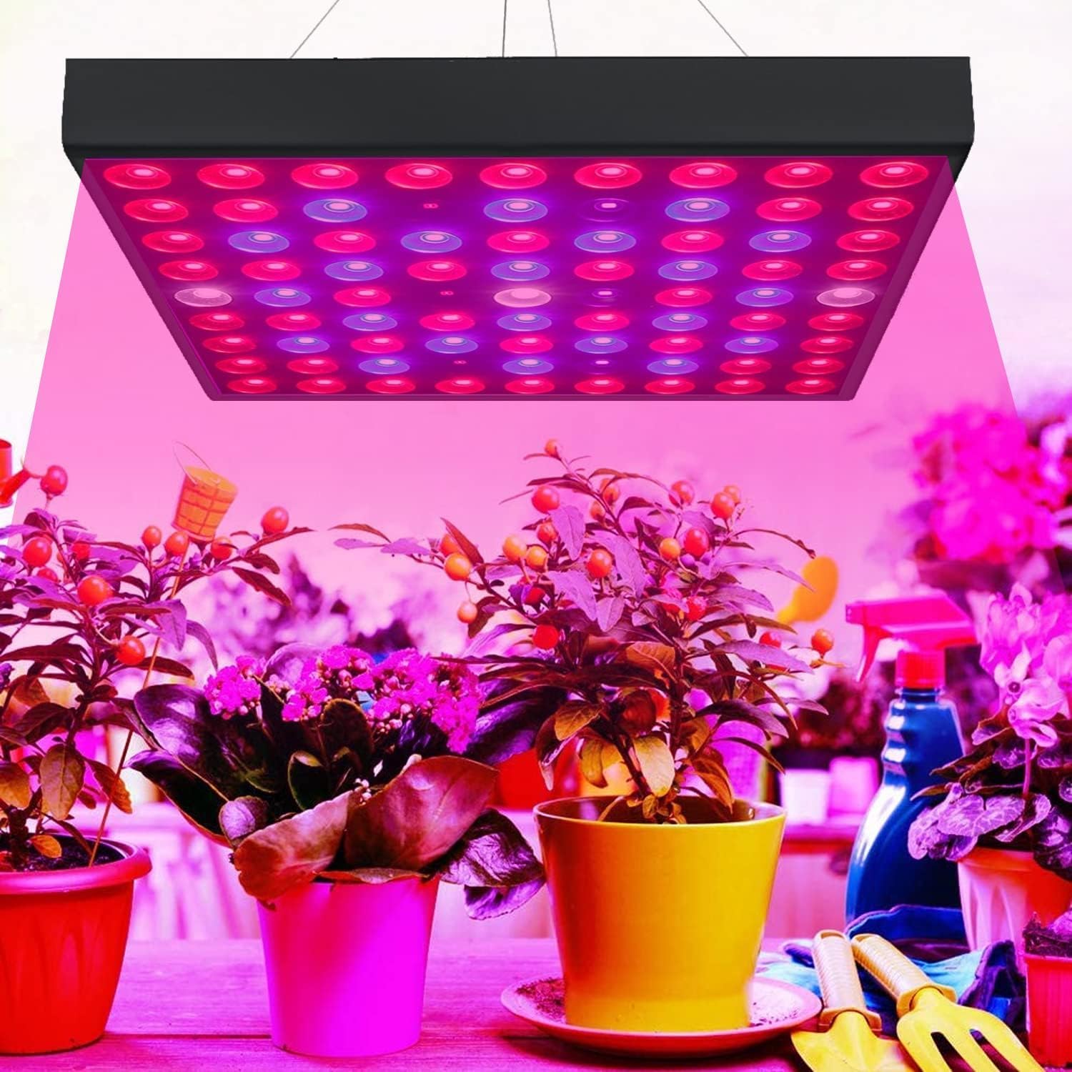 YESDEX LED Plant Grow Light, Indoor Plant Light Full Spectrum, 60W LED