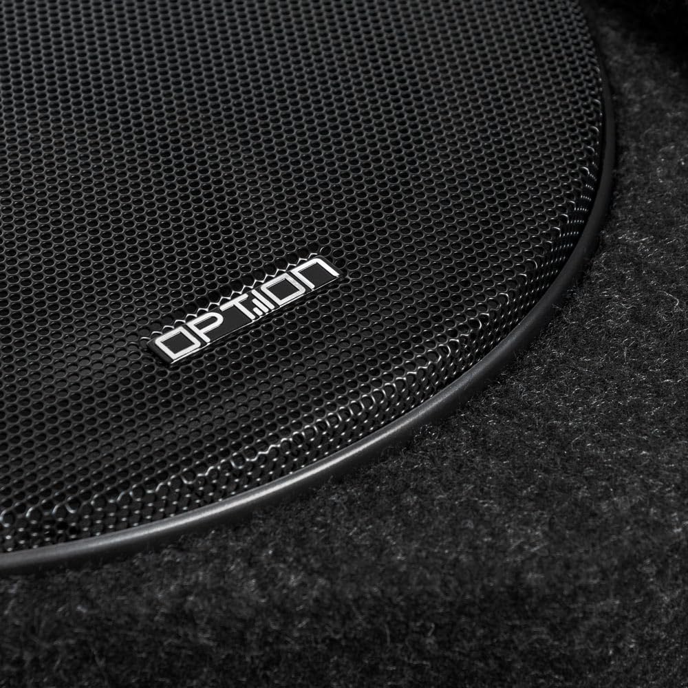 Option DRIVE10FLAT-BRP-D2 - Subwoofer passivo da 25 cm (300 Watt RMS) con doppia bobina oscillante 2 x 2 Ohm, subwoofer piatto con altezza 13 cm