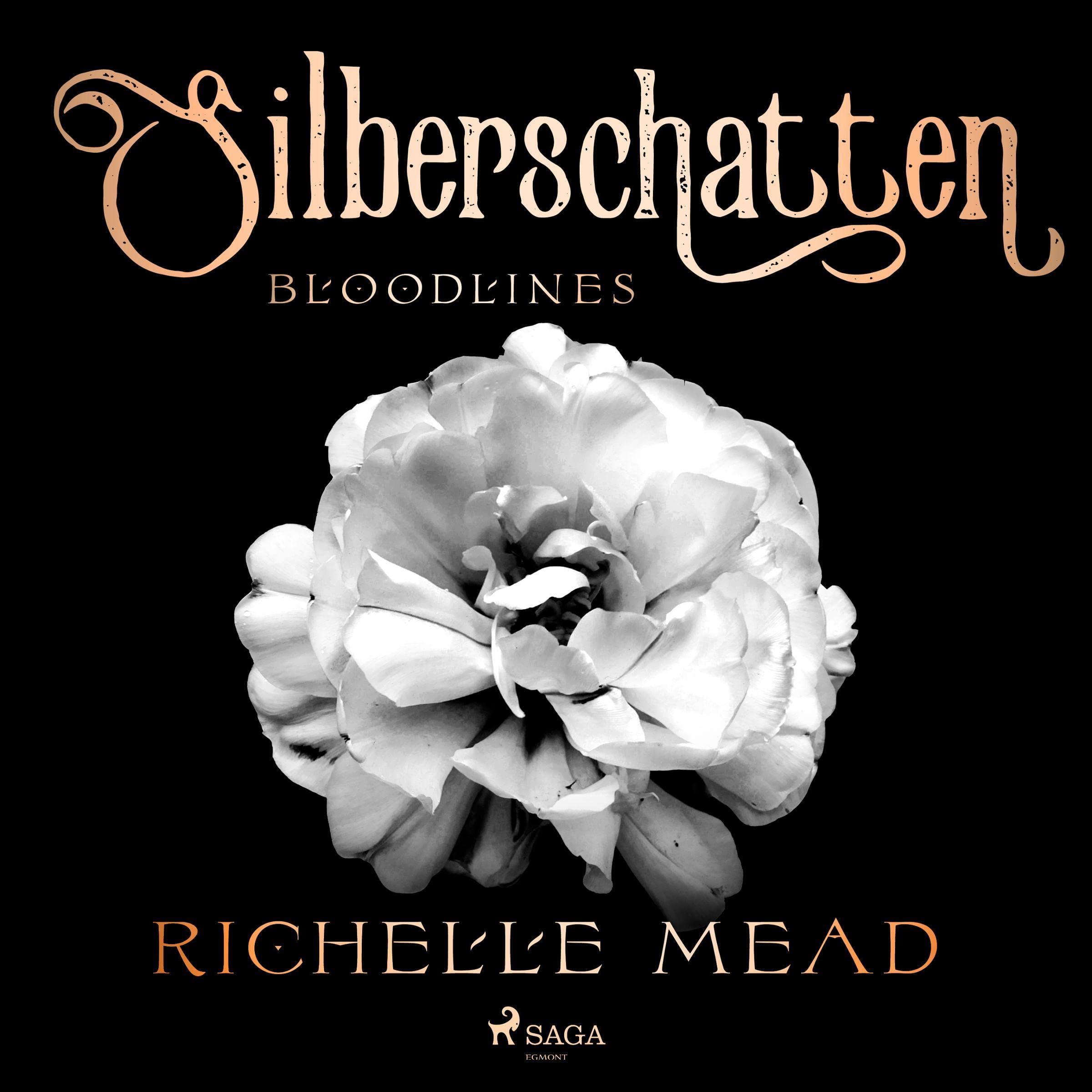 Cover art for Silberschatten