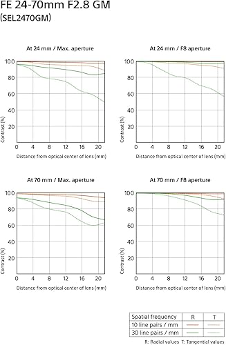 Miniatura 25 de Sony - Lente FE 12-24 mm F2.8 G Master de zoom ultra amplio, apertura constante de fotograma completo (SEL1224GM)