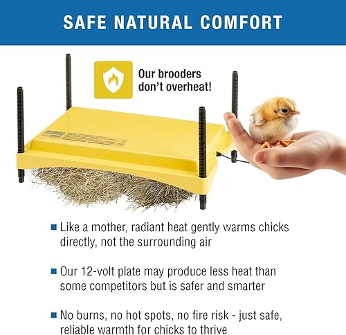 Miniatura 3 de Brinsea Ecoglow Safety 1200 - Plato para criar pollos o patitos, altura ajustable y ángulo, ideal para gallineros, aves de corral, calefacción con