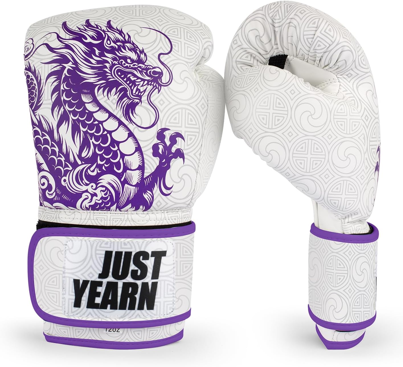 Professional Boxing Gloves for Men and Women, Training Gloves with Hook and Loop Closure, Ventilated Design