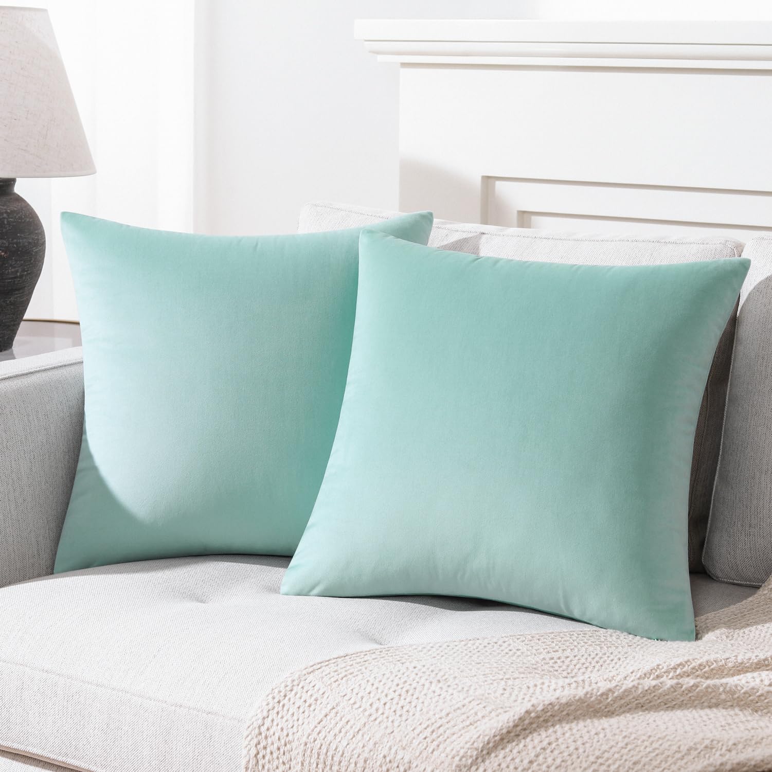 See full amazon price history chart for Mixhug Decorative Throw Pillow Covers, Velvet Cushion Covers, Solid Throw Pillow Cases for Couch and Bed Pillows, Turquoise, 20 x 20 Inches, Set of 2 Mixhug Decorative Throw Pillow Covers, Velvet Cushion Covers, Solid Throw Pillow Cases for Couch and Bed Pillows, Turquoise, 20 x 20 Inches, Set of 2 (B07SCLW2HS) Amazon Price History, Amazon Price Tracker