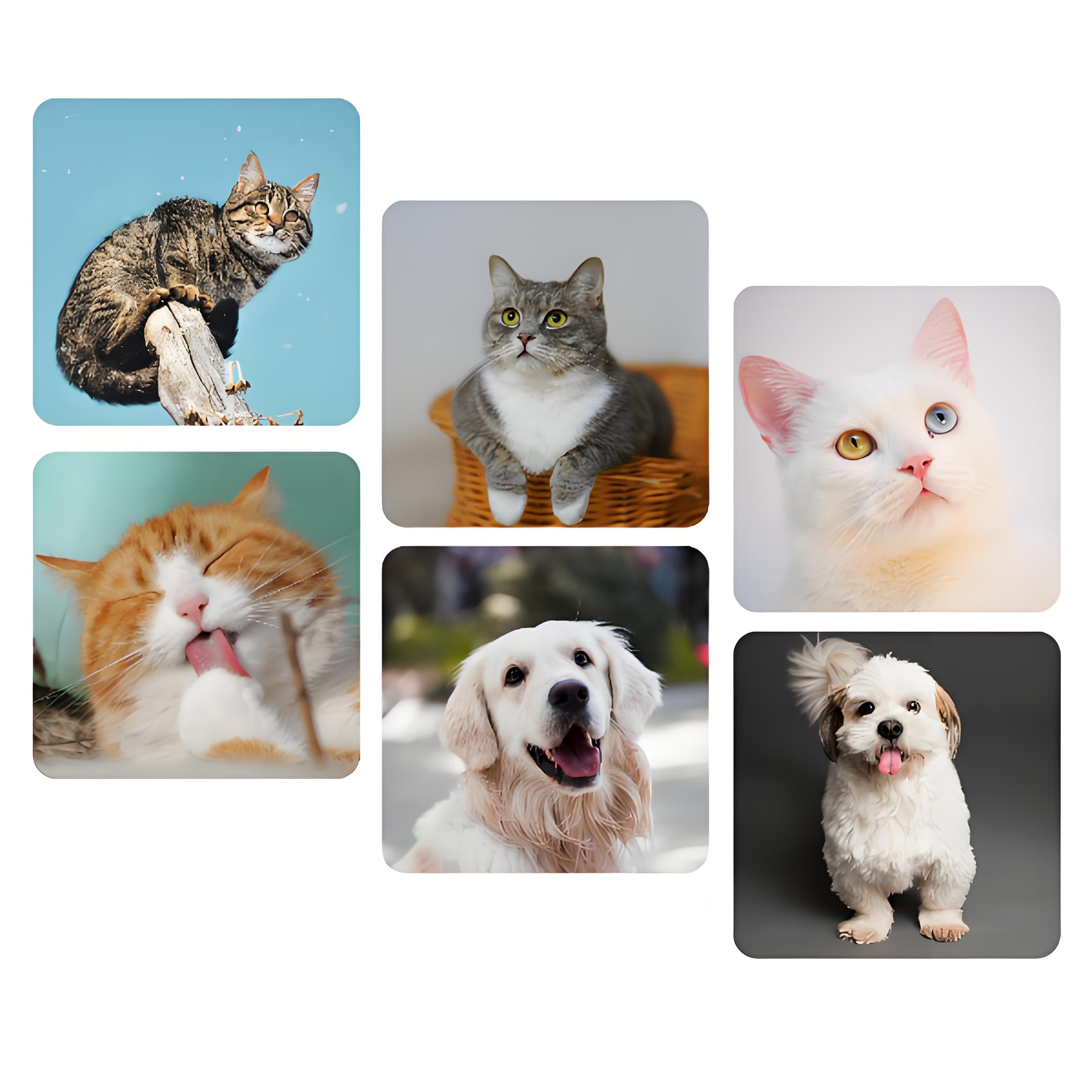 Custom Fridge Magnets, Personalized Photo Magnets for Refrigerator, Home Decoration Picture Magnet Stickers for Office and Kitchen, Door(6 PCs)