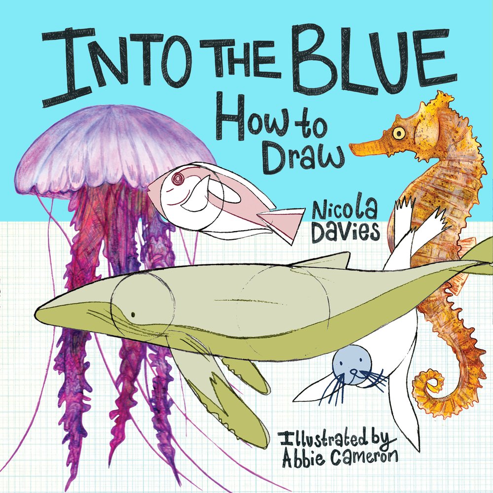 How to Draw: Into the Blue by Nicola Davies PAPERBACK 9781912050550
