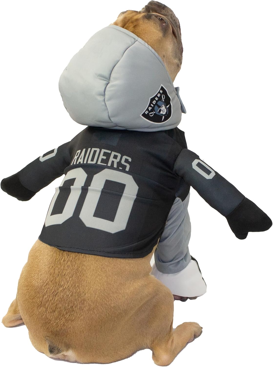 NFL LAS Vegas Raiders Officially Licensed Running Dog Costume by MODERN HERO Includes 2 pc Set - Bodysuit and Hat (Black, Medium, Las Vegas Raiders)