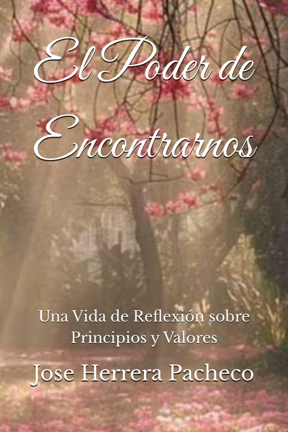 El Poder de Encontrarnos: Una Vida de Reflexion sobre Principios y Valores