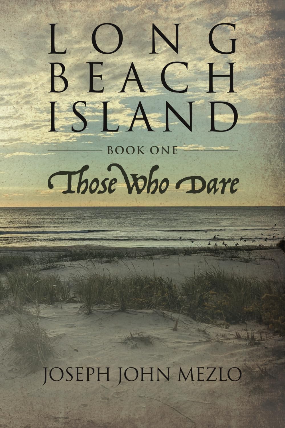 Long Beach Island: Those Who Dare