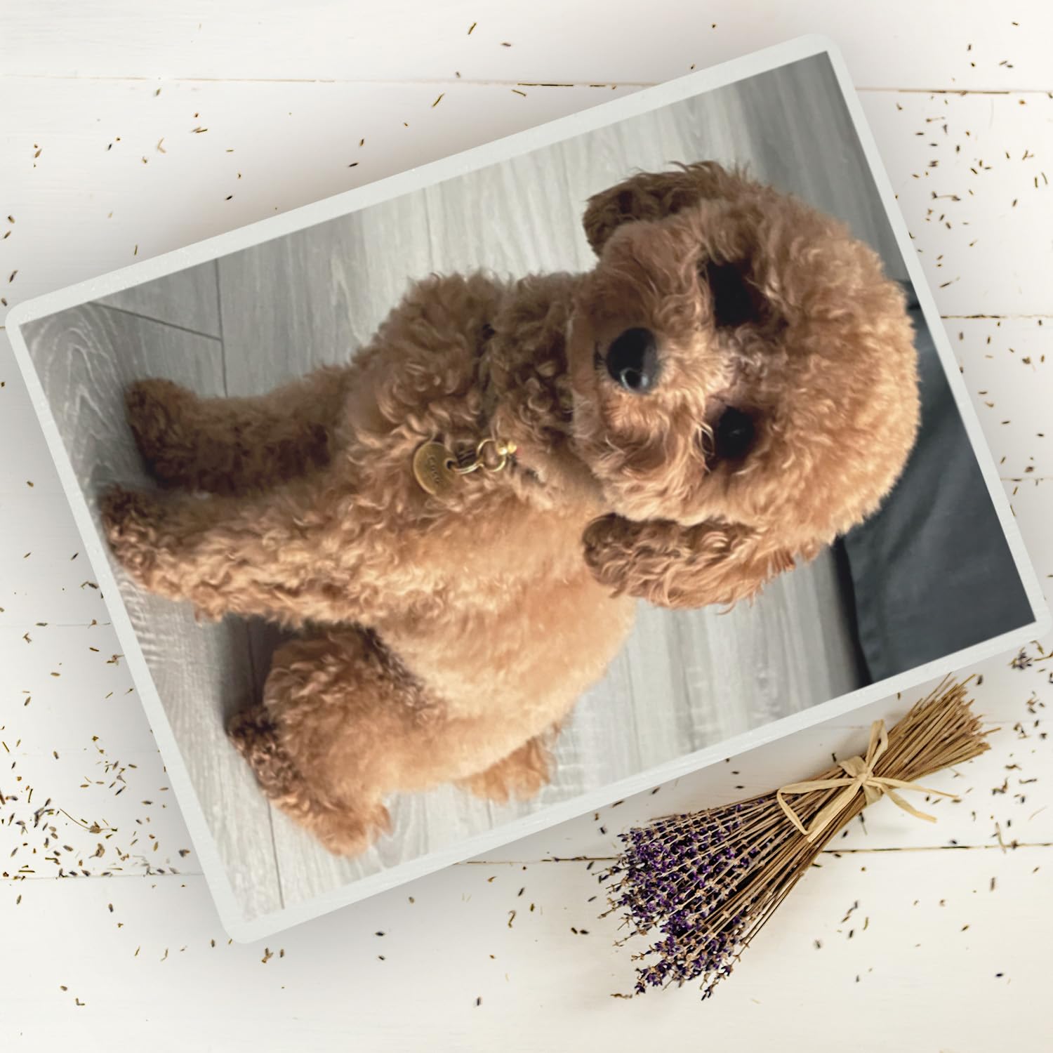 Creative Deco Blanca Caja con tu Foto Personalizado - Idea de Regalo Personalizada | Cajas Madera de Recuerdos Personalizadas | Para Mujeres, Hombres y Parejas | Personalizados para Cumpleaños Fiestas