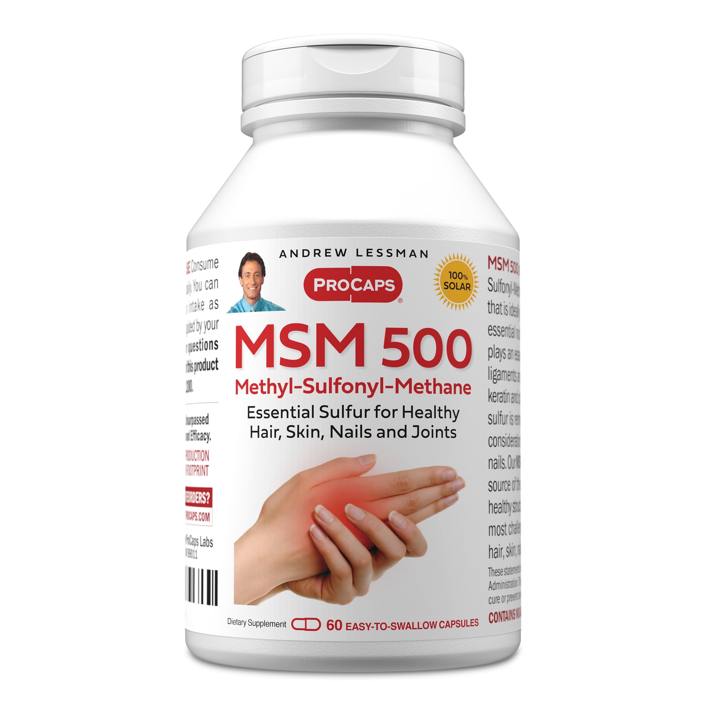 ANDREW LESSMAN MSM 500 Organic Sulfur Supplement, 60 Capsules 60 Count (Pack of 1)