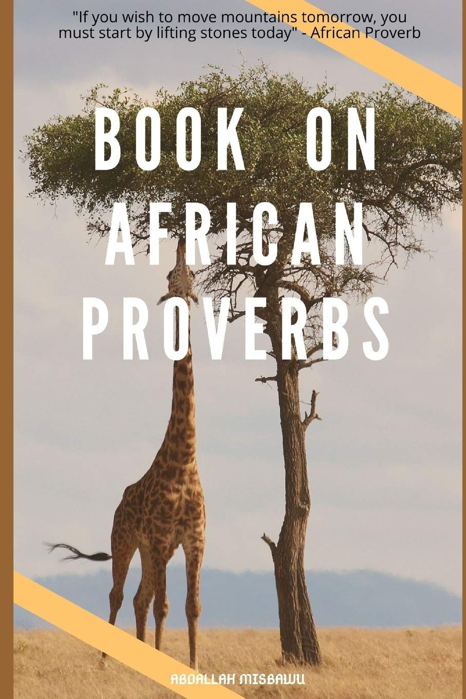 BOOK ON AFRICAN PROVERBS: "If you wish to move mountains tomorrow, you must start by lifting stones today" - African Proverb
