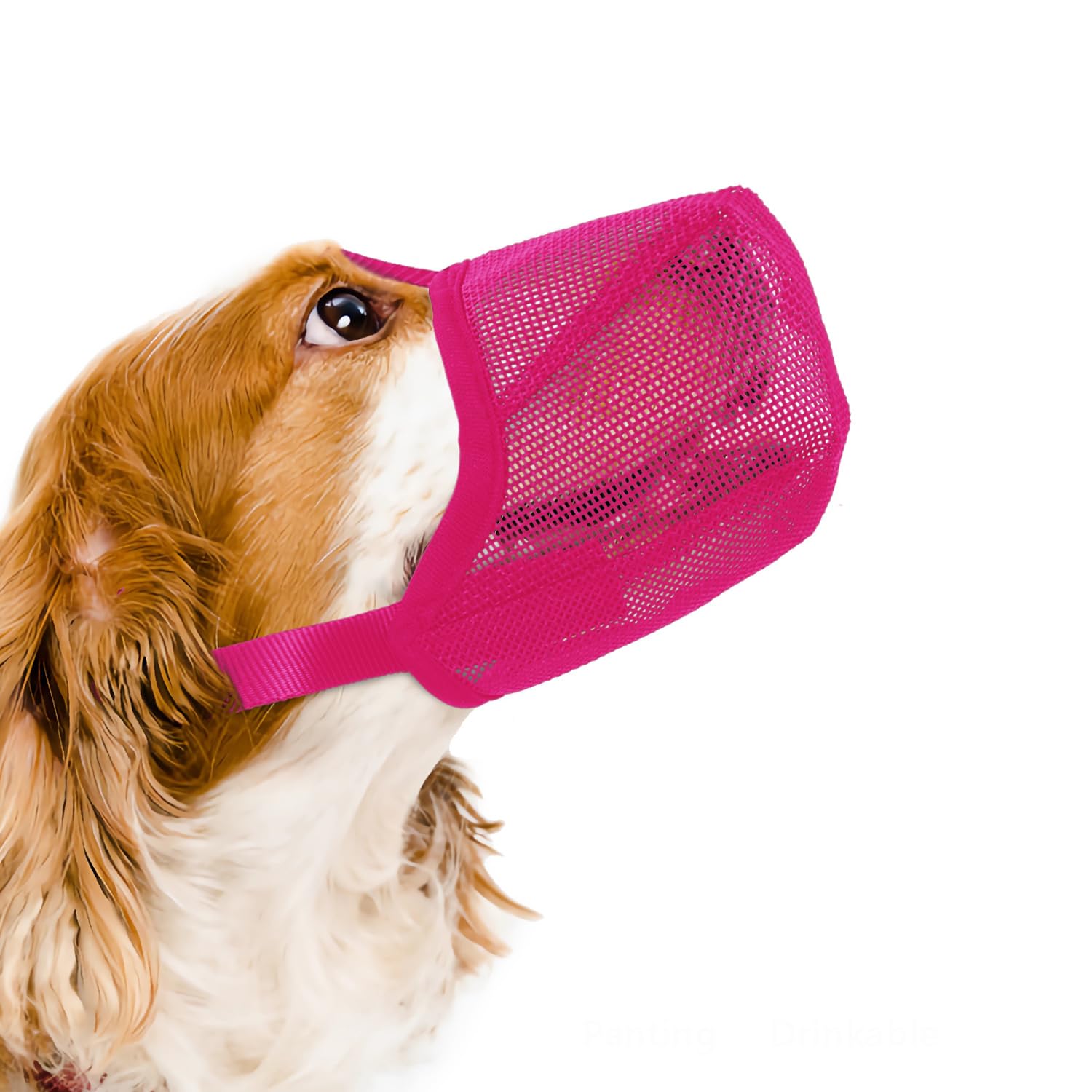 Dog Muzzle for Medium Dogs, Air Mesh Full-Covered Mouth Guard with Adjustable Straps Muzzle, Drinkable Breathable No Biting Barking Chewing Licking or Eating Everything (Hot Pink, M)