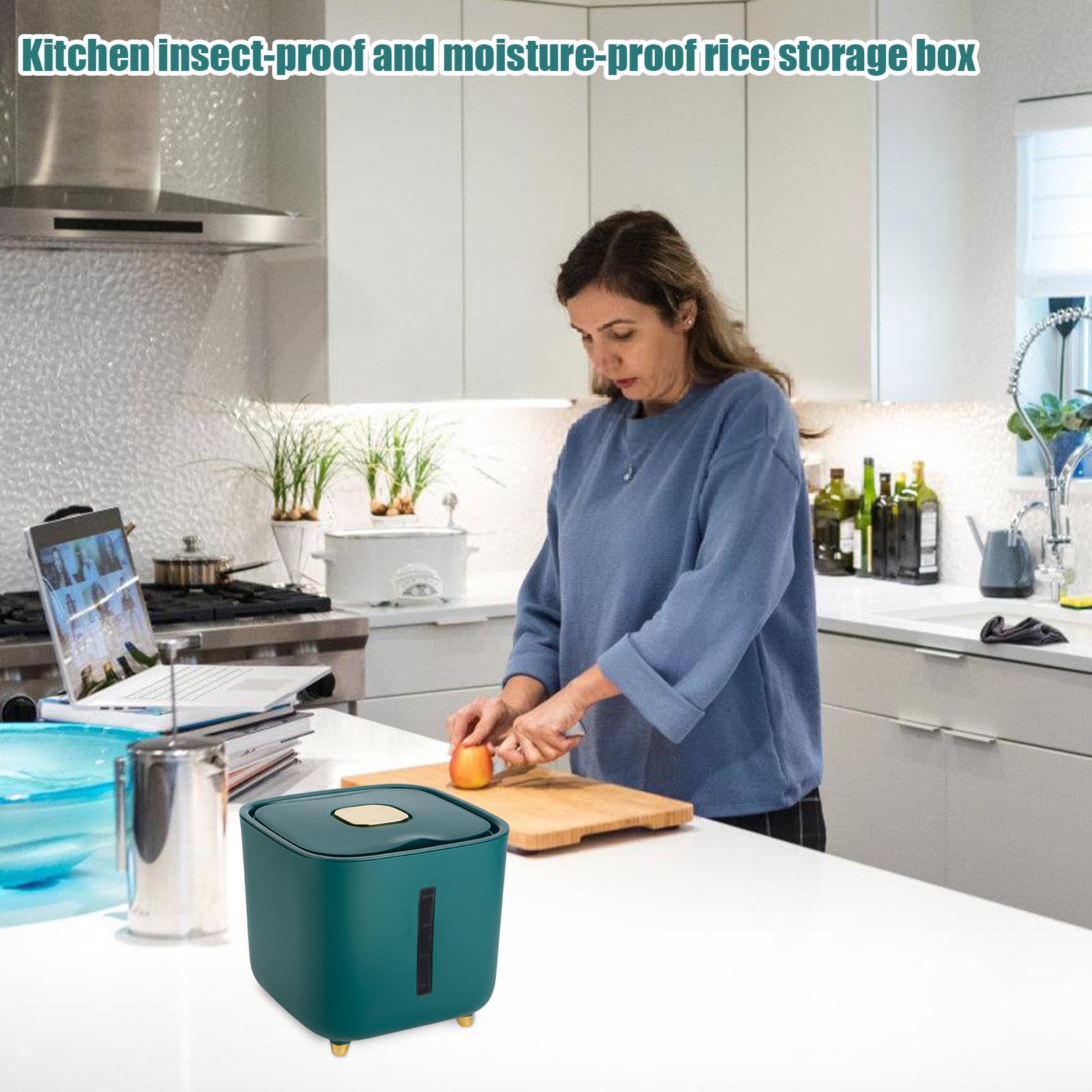 Bacs à riz | Boîtes de rangement hermétiques de 10 kg avec couvercles, seau à riz, grande boîte de rangement pour céréales et aliments secs