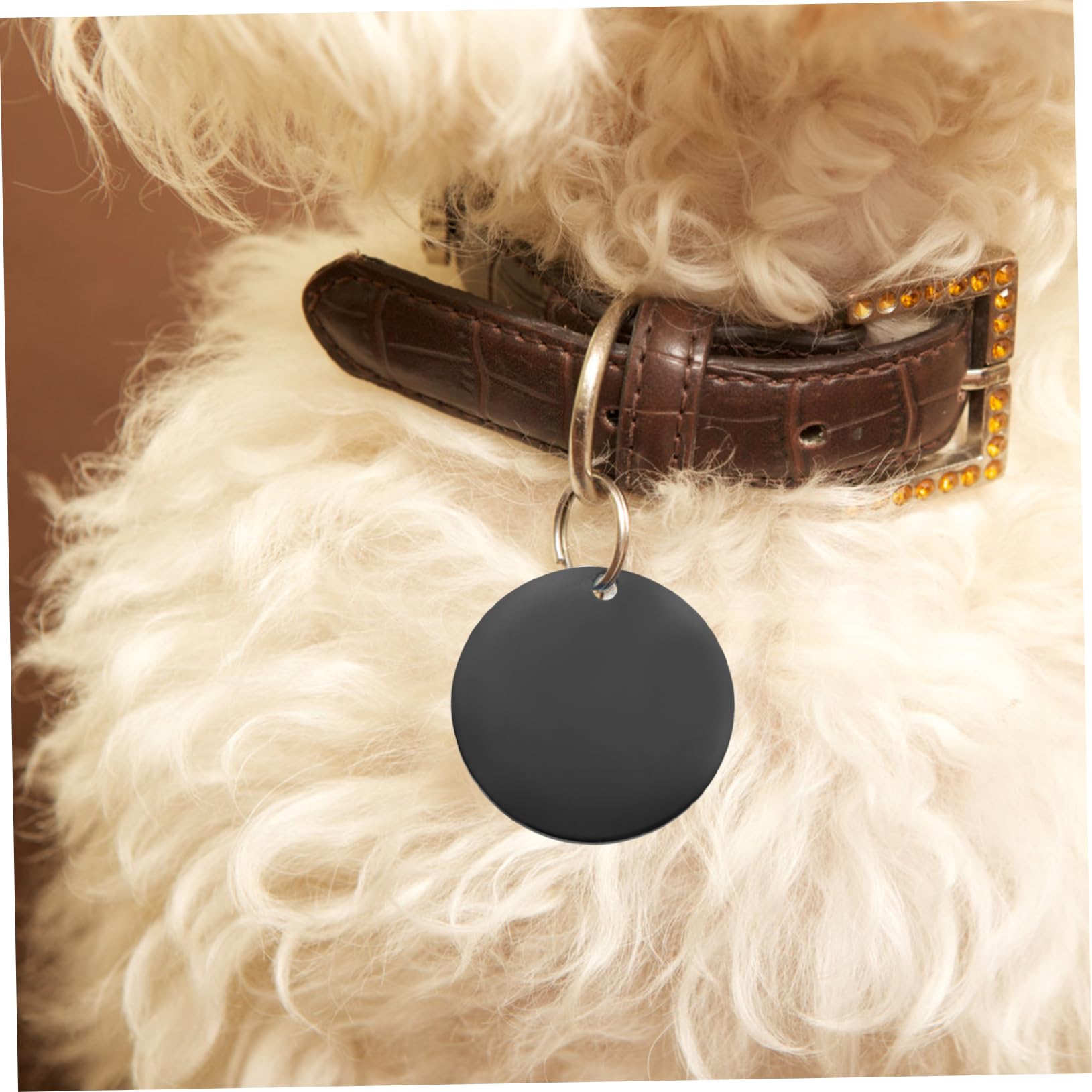 DOITOOL 4 Set Di Animali Domestici Piccola Etichetta Canino Identificazione Piastrina Per Cani in Acciaio Inossidabile Medagliette Per Cani in Acciaio Inossidabile Nero 6 Pezzi*4
