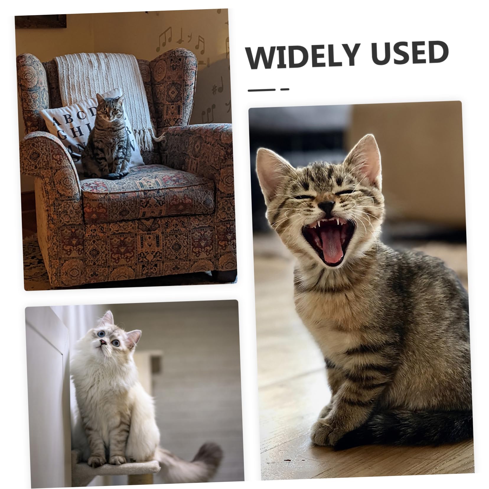 6pièces Jouet Souris pour Chat Jouet Teaser De Remplacement Fourniture