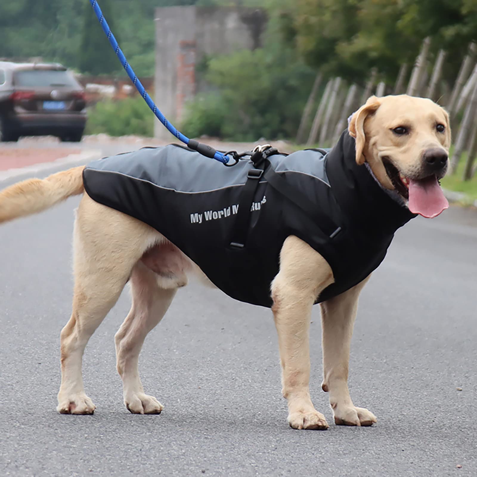 Amazon | コート防水犬の冬のジャケット、毛皮のような襟付きの寒い