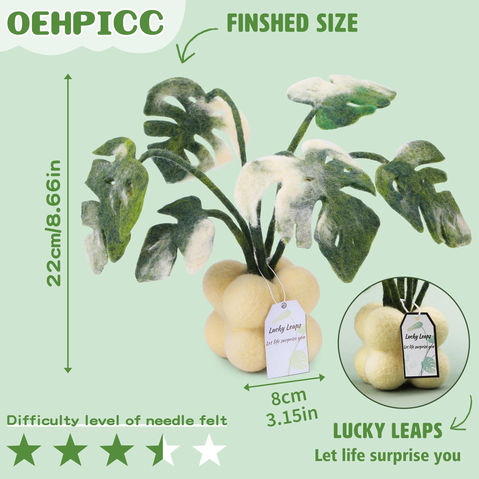 OEHPICC Kit de fieltro de aguja, kits de fieltro de plantas para principiantes y adultos, kit de fieltro de lana con bolas de lana de fieltro, agujas de fieltro, almohadilla de fieltro de lana