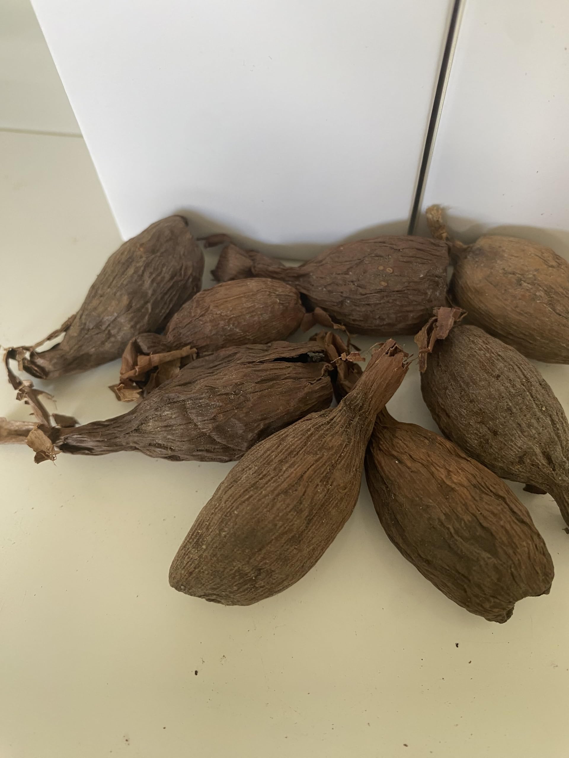RMY Manigueta entera vaina de guinea de chile pimiento de cocodrilo 6 PCS