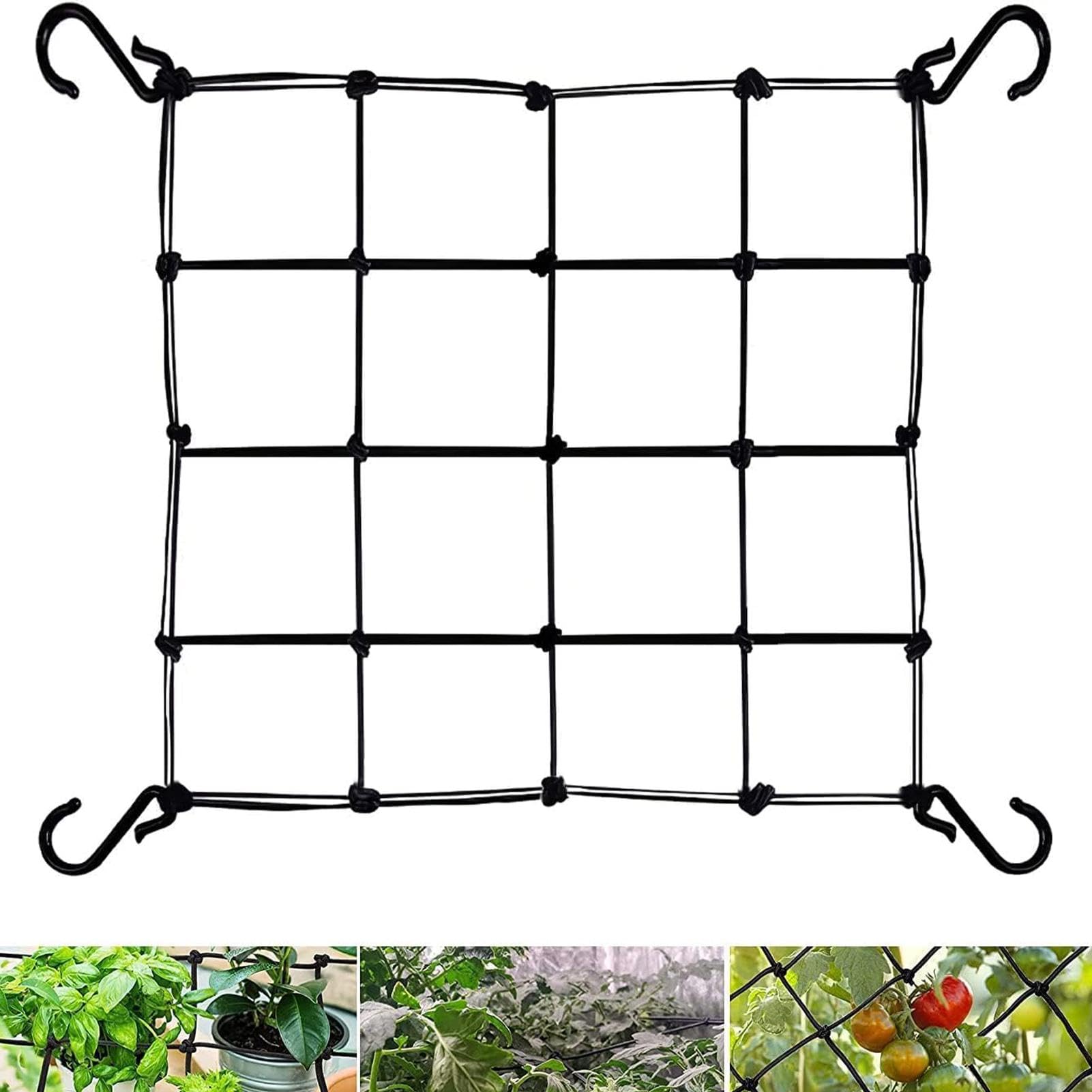 TINA Rete Elastica Di Supporto Per Piante Rampicanti – 80x80 Cm, Maglie 10x10 Cm – Con 4 Ganci – Per Tenda Da Coltivazione, Pomodori, Cetrioli - 2