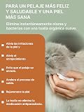 Ver la foto 3
