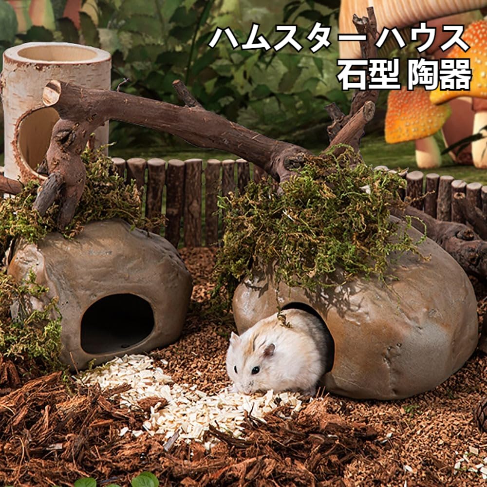 Amazon | ハムスター ハウス 陶器 石型 ハムスター 家 涼しい お部屋