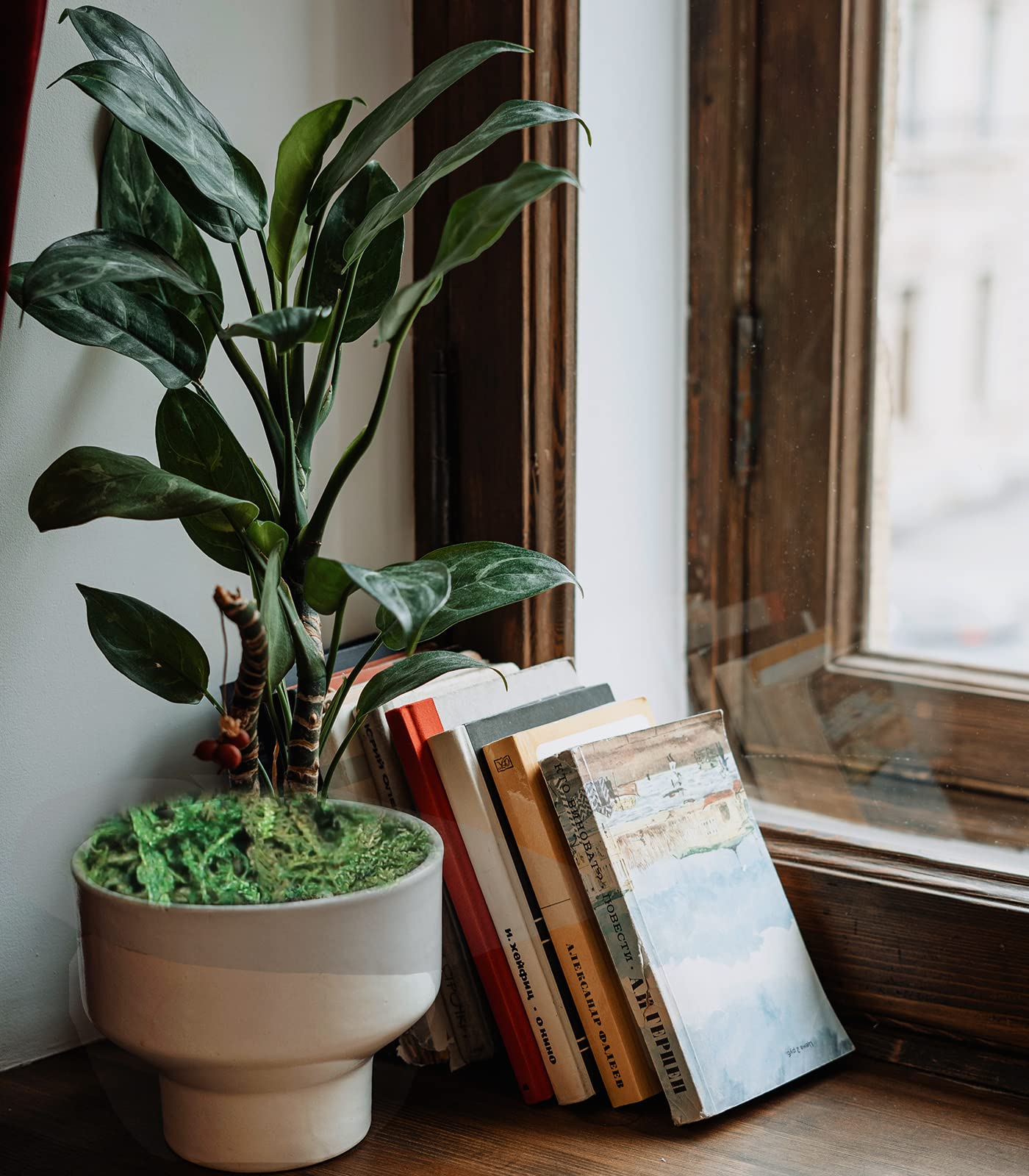 Musgo falso para plantas en maceta, musgo artificial para plantas falsas, musgo sintético para macetas, musgo decorativo para manualidades y decoración del hogar