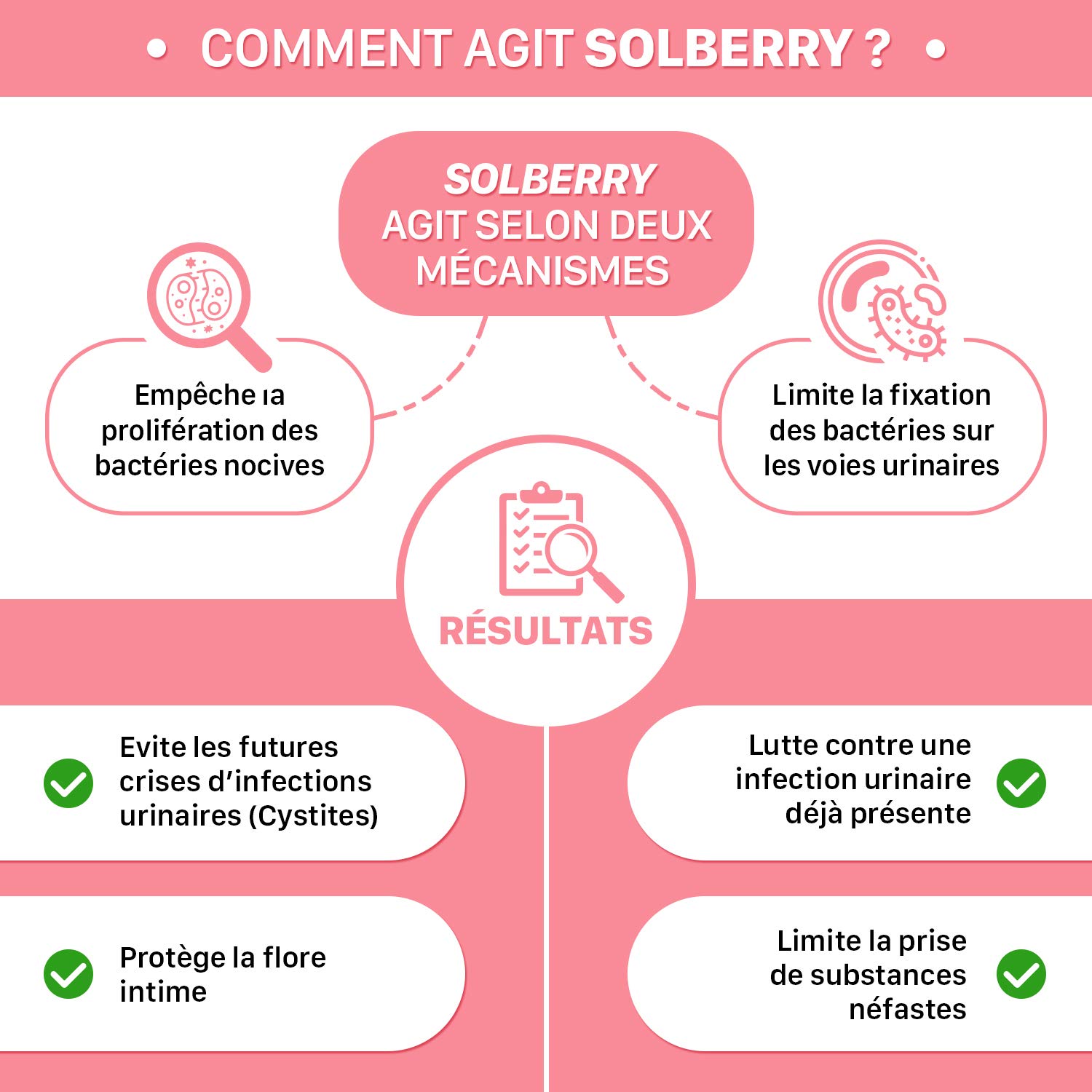 SOLBERRY - Complément alimentaire Infection Urinaire Femme - Puissants Extraits de Canneberge et Hibiscus – Protection 24h/ 24-60 gélules Végan - Laboratoire Français Solage