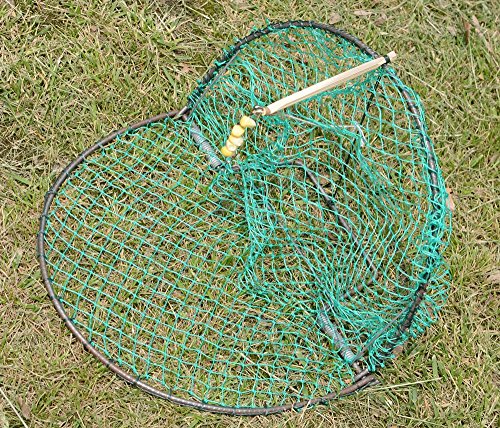 Alemon 12“ Bird, Pigeon, Quail Humane Live Trap Hunting Bird Trap, with Trap Installation Instruction