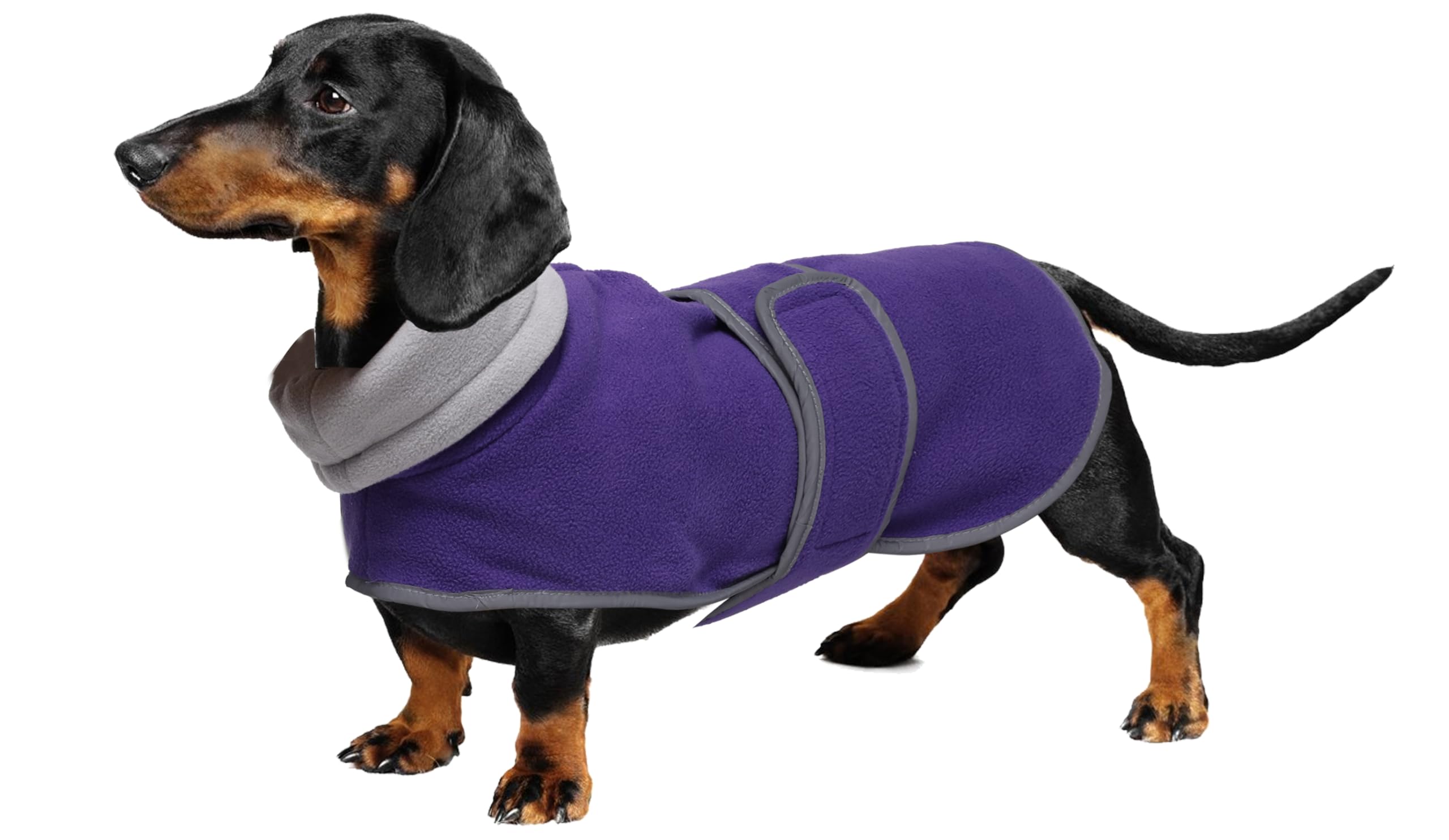 Geyecete dachshund coat with Warm Thermal Quilted