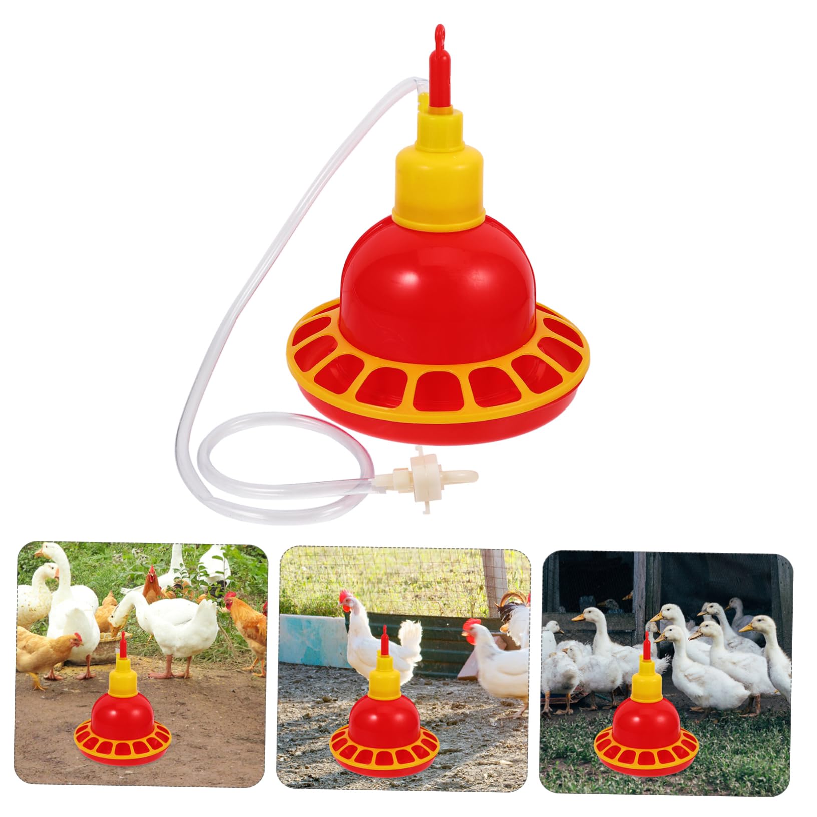 Abbeveratoio Automatico per Polli e Colombi in Pp Resistente, Design Arrotondato Unico, Facile da Pulire, per Uso Domestico e Negozi di Animali