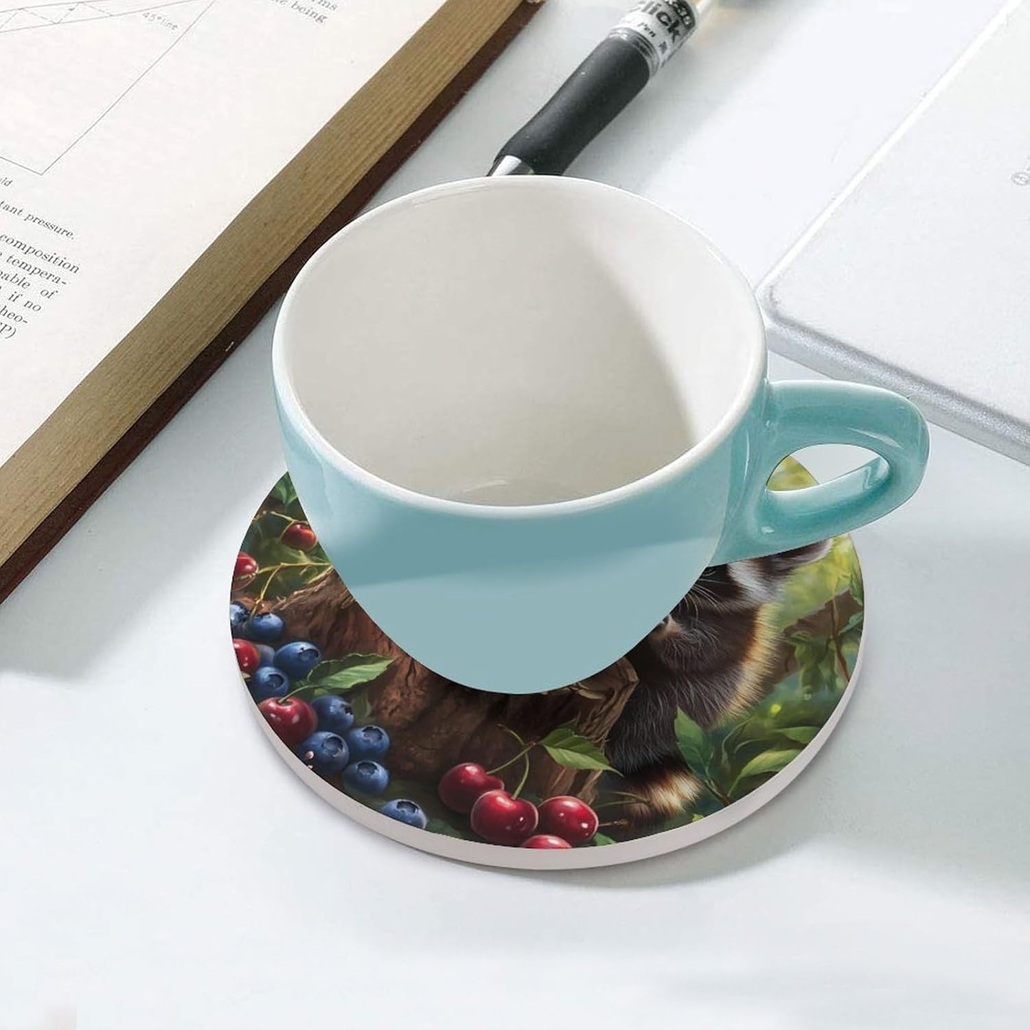 Cute Raccoon Cherry1 Blueberry Funny Round Ceramic Coasters for Drink Absorbent Cup Holders Tabletop Protection