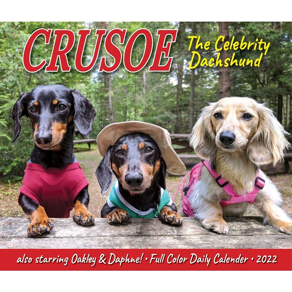 Crusoe the Celebrity Dachshund 2022 Box Calendar