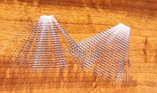 Barred Mayfly Tails
