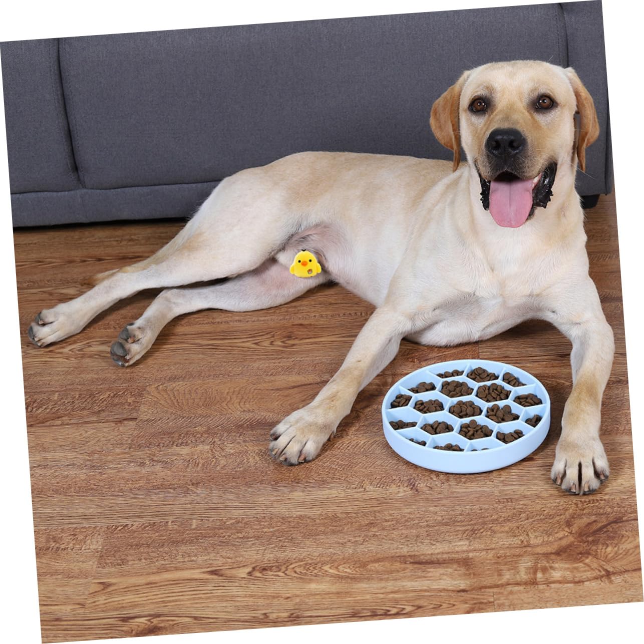 Toyvian Langsamer Saugnapf für und aus Anti Futternapf Hunde Silikon Erstickungsfunktion Rutschfestem für Gesundes Stressfreies Füttern