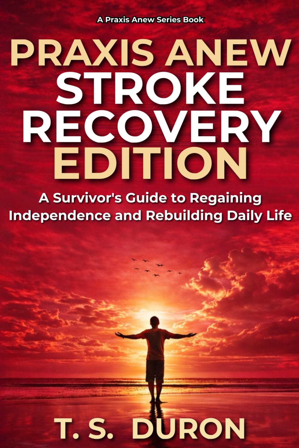 Praxis Anew Stroke Recovery Edition: A Survivor’s Guide to Regaining Independence and Rebuilding Daily Life (The Praxis Anew Series)