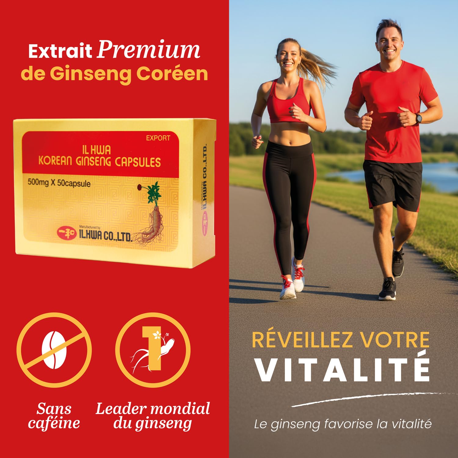 Ginseng de Corée 100% Authentique 500 mg, 50 Gélules | Panax Ginseng Pur Sans Additifs | Énergie Physique et Mentale | Racines de 6 Ans | Qualité Ilhwa