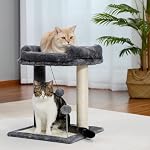 PAWZ Road Chat Tree Scratching Post with Soft Perch Nest Silsal-Covered Scratch Posts and Pads with Play Ball Great for Kittens and Cats