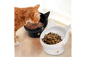Elevated Slanted Cat Food Bowls for Indoor Cats (2-Pack, Whisker-Friendly, Raised, Ergonomic, Anti-Vomiting)