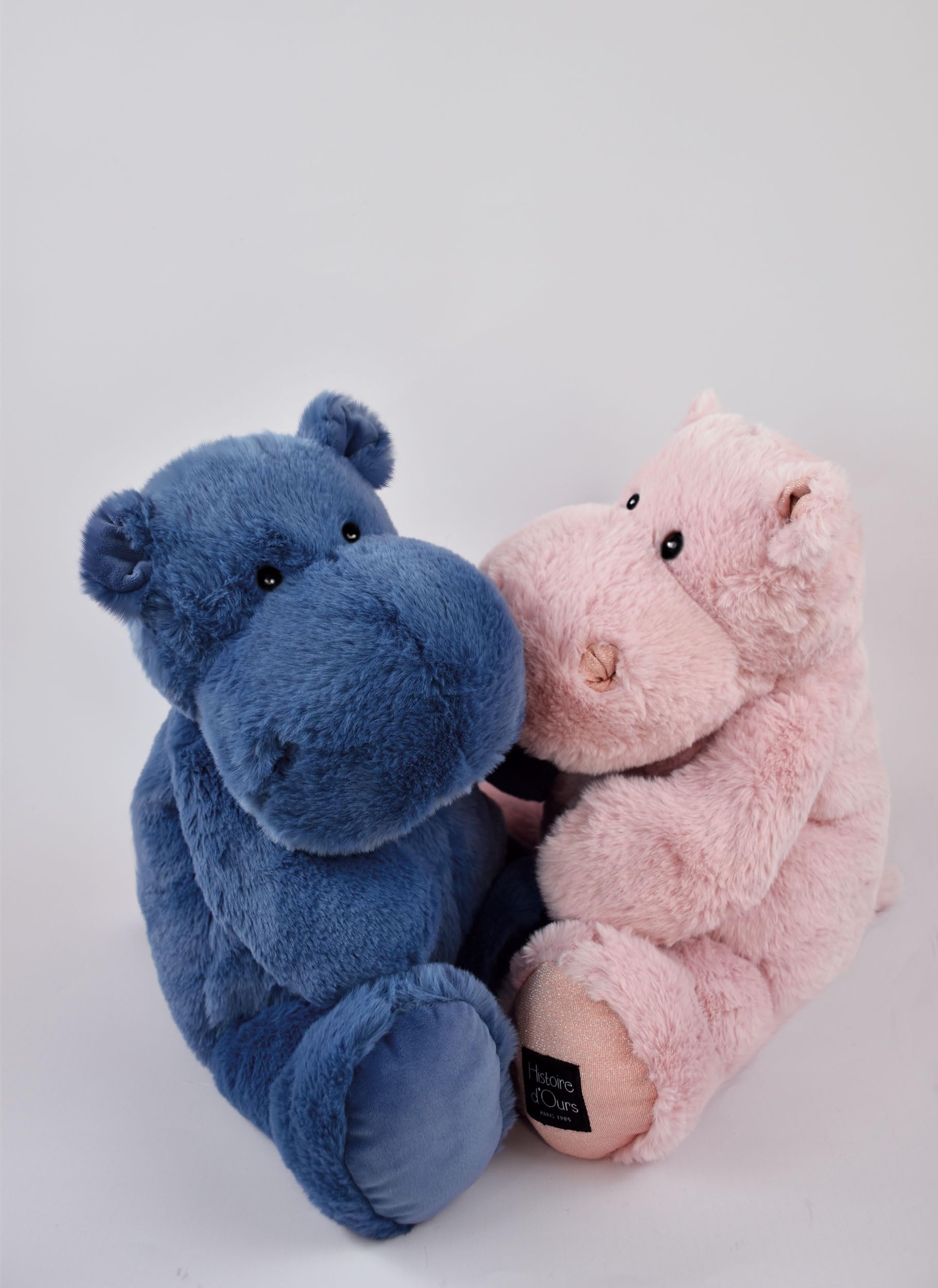Histoire d'ours Carletto- Peluche, HO3110