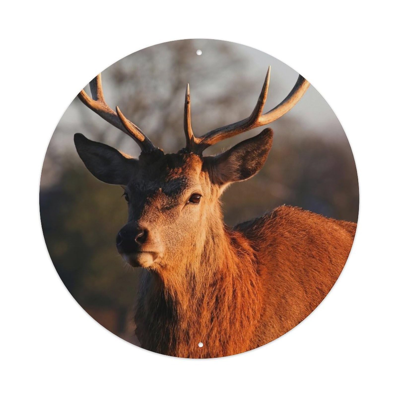 Animal Tall Canadian Horse Deer Metal Tin Sign