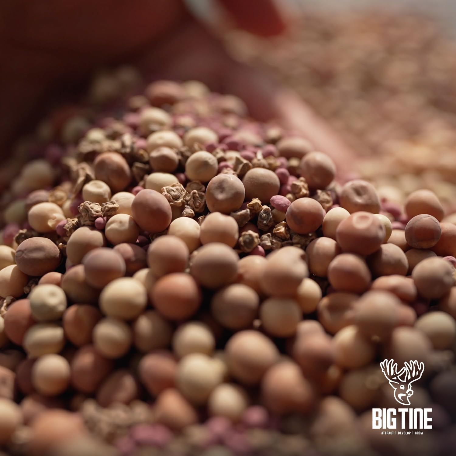 Big Tine Food Plot Mix, Deer Attractant, Peas and Tubers, 8 lbs Bag, Fall/Winter Annual, Contains Early Season Forage and Winter Peas