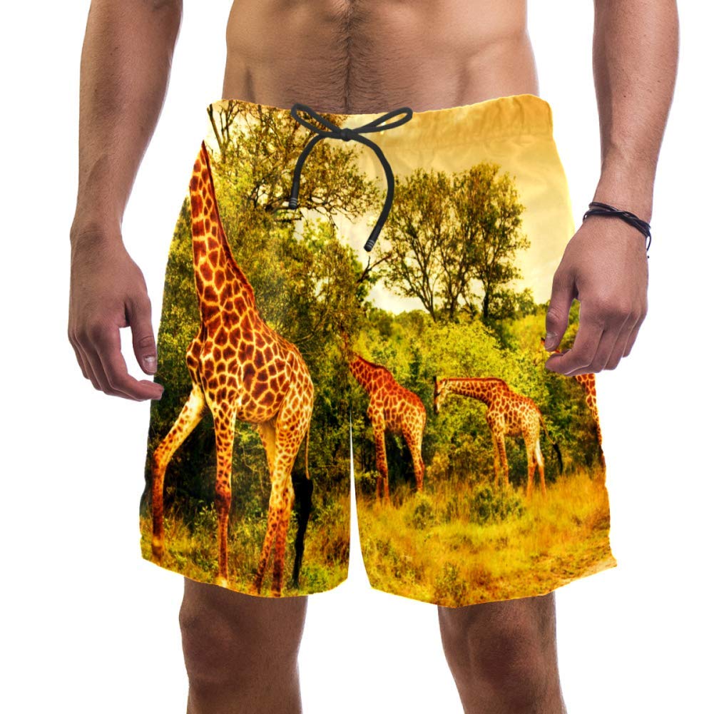 Eslifey Men's Multi Man Beach Shorts South African Giraffes Swim Trunks Elastic Swimsuit Board Shorts For