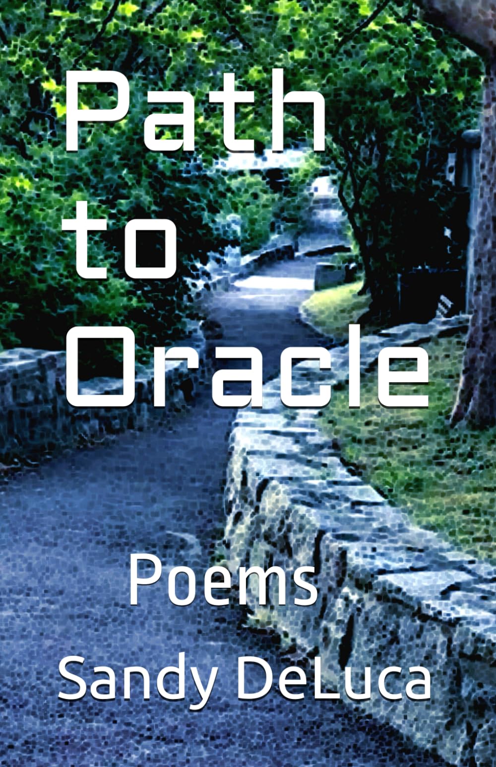 Cover of Path to Oracle