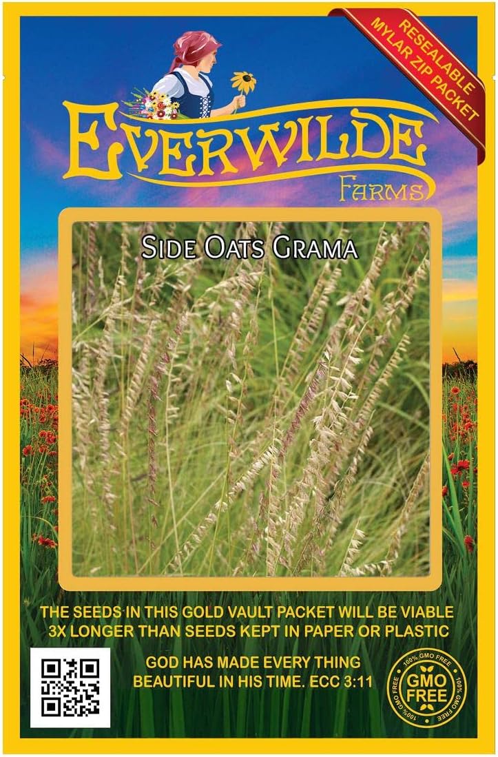 Everwilde Farms - 1 Lb Side-Oats Grama Native Grass Seeds - Gold Vault