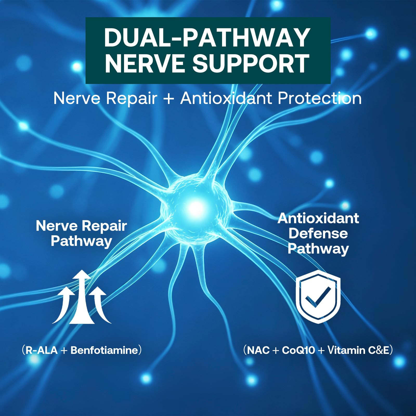 Neuropathy Support Nerve Supplement – Advanced R-Alpha Lipoic Acid Supplement with Benfotiamine, NAC & B-Complex for Nerve Health, Antioxidant & Cellular Energy - Vegan 120 Softgels — Amazon image 7